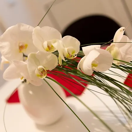 Cinema Close To Port Dubrovnik