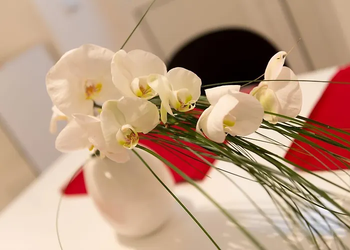 Cinema Close To Port Dubrownik