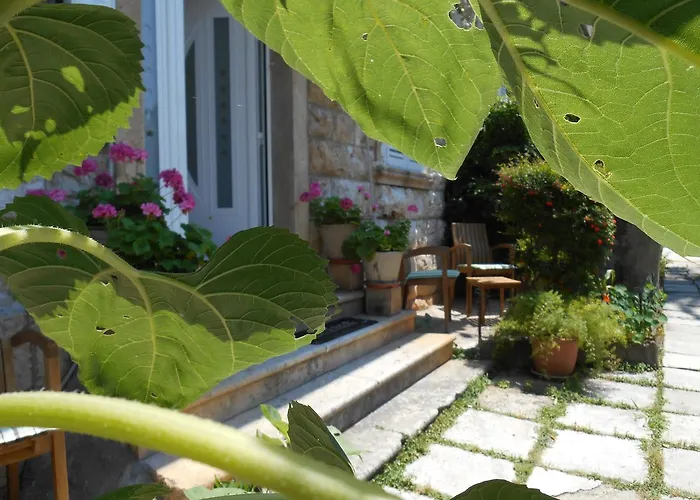 Cinema Close To Port Apartament Dubrownik